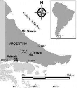 Fig. 1. Mapa de distribución de los primeros avistamientos de Vespula germanica en Tierra del Fuego - sector argentino (hasta 2015) 